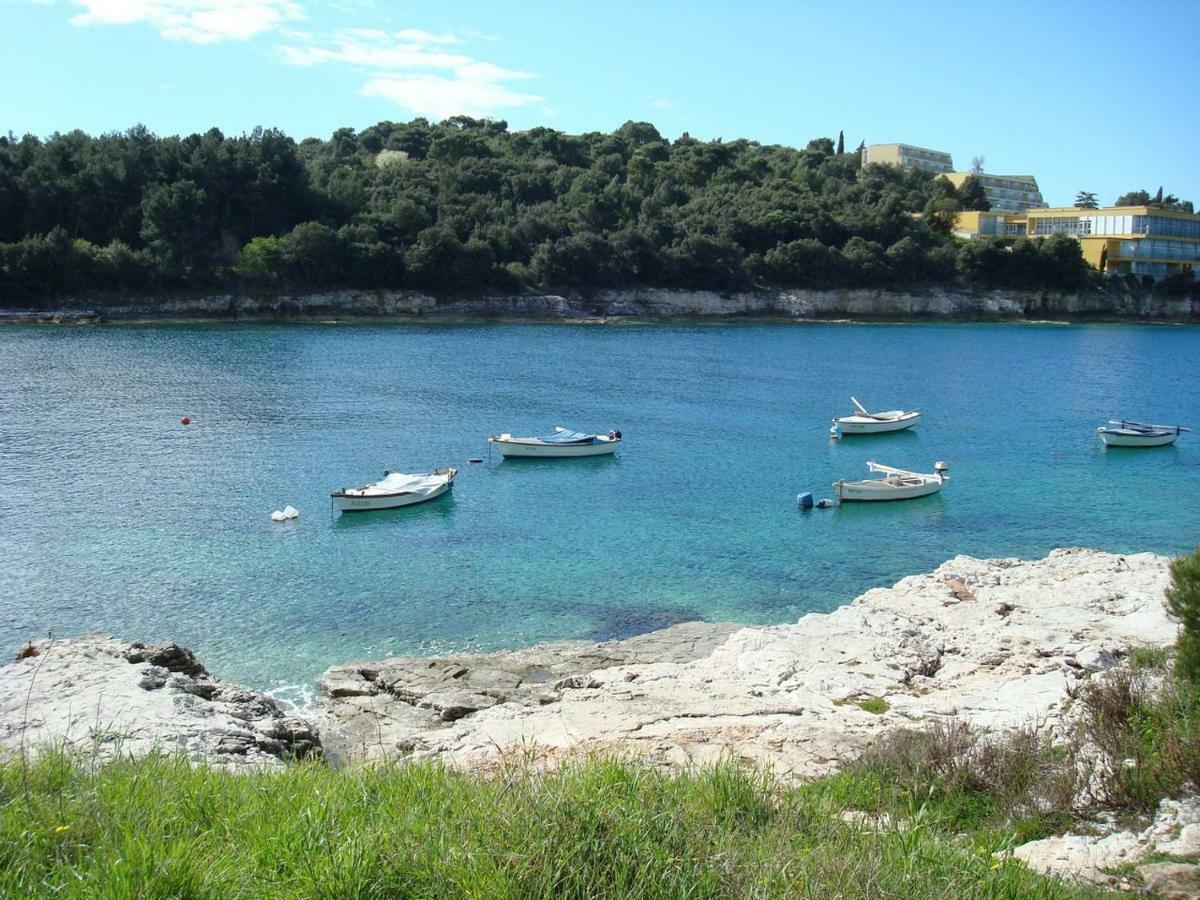 Apartament • Lungomare • *